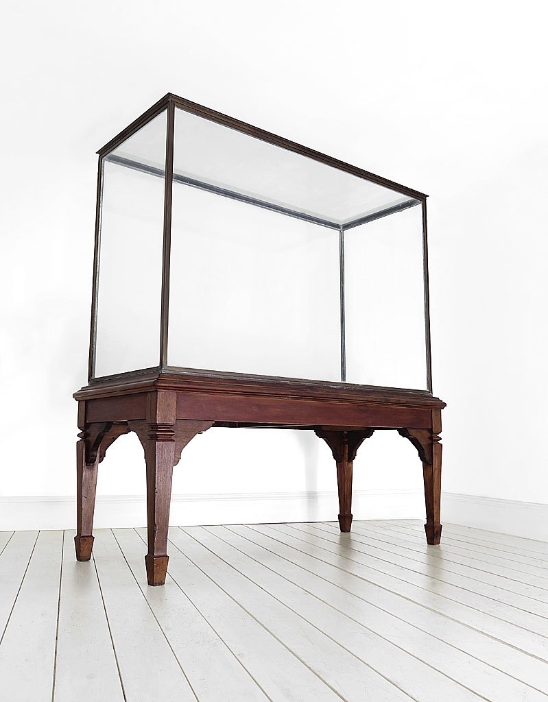 Bronze Museum Display Cabinet